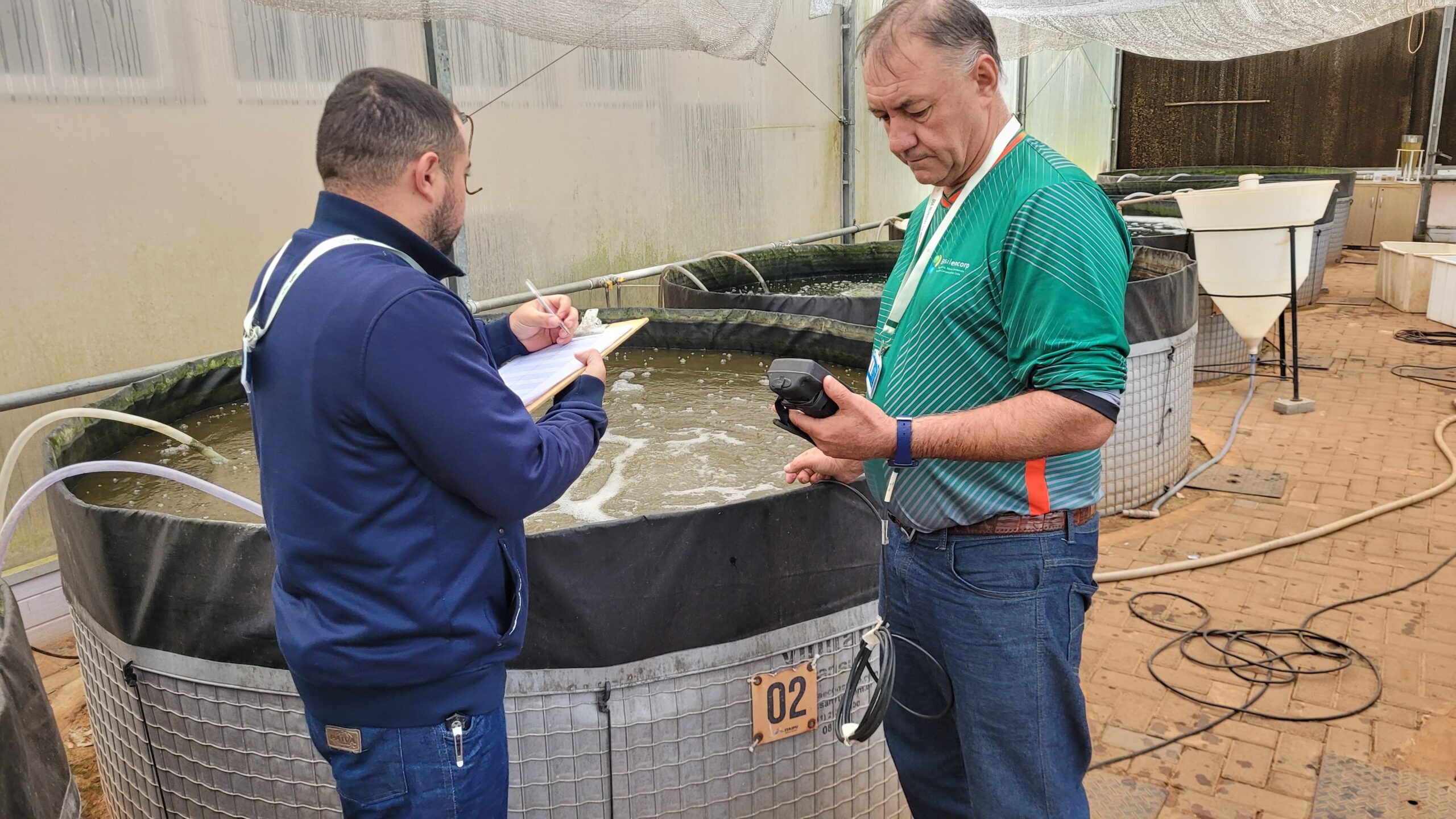 Brasilencorp é referência na produção de peixe dourado em tanques-redes no Lago de Itaipu
